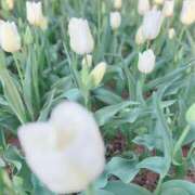 ヒメ日記 2025/04/25 19:29 投稿 杏虹【アコ】 輝女