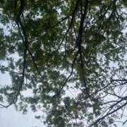 ヒメ日記 2025/04/26 13:10 投稿 杏虹【アコ】 輝女