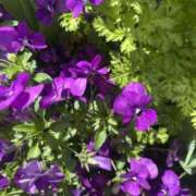 ヒメ日記 2025/04/28 17:07 投稿 杏虹【アコ】 輝女