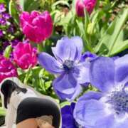 ヒメ日記 2025/05/03 19:13 投稿 杏虹【アコ】 輝女