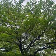 ヒメ日記 2025/07/04 16:31 投稿 杏虹【アコ】 輝女