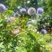 ヒメ日記 2025/08/05 20:48 投稿 杏虹【アコ】 輝女