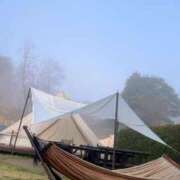 ヒメ日記 2026/03/29 09:50 投稿 杏虹【アコ】 輝女