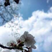 ヒメ日記 2026/04/03 17:52 投稿 杏虹【アコ】 輝女