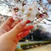 ヒメ日記 2026/04/03 19:15 投稿 杏虹【アコ】 輝女