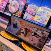 ヒメ日記 2026/03/04 12:53 投稿 舞花【マイカ】 輝女