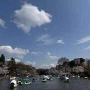 ヒメ日記 2026/03/30 16:31 投稿 舞花【マイカ】 輝女