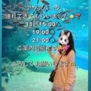 ヒメ日記 2026/02/11 07:45 投稿 Chiaki PROPORTION