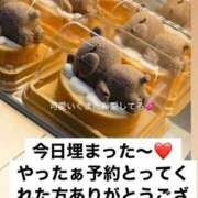 Chiaki 本日🈵です！今月ラスト1枠です🕊️ PROPORTION