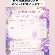 Chiaki ☔️ 紫陽花の季節に少しだけ戻ります PROPORTION