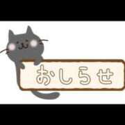 ヒメ日記 2025/12/29 10:46 投稿 みくコンプリート型巨乳ちゃん 俺のジュニア