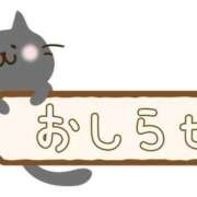 ヒメ日記 2026/04/17 17:16 投稿 みくコンプリート型巨乳ちゃん 俺のジュニア