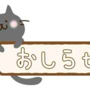 ヒメ日記 2026/05/19 05:26 投稿 みくコンプリート型巨乳ちゃん 俺のジュニア