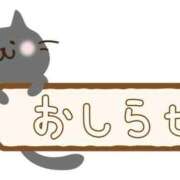 ヒメ日記 2026/05/31 05:16 投稿 みくコンプリート型巨乳ちゃん 俺のジュニア