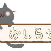 ヒメ日記 2026/06/20 14:10 投稿 みくコンプリート型巨乳ちゃん 俺のジュニア