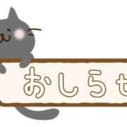 ヒメ日記 2026/07/22 05:26 投稿 みくコンプリート型巨乳ちゃん 俺のジュニア