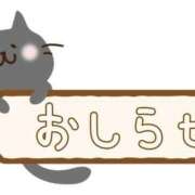 ヒメ日記 2026/07/26 05:16 投稿 みくコンプリート型巨乳ちゃん 俺のジュニア