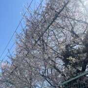 ヒメ日記 2026/04/02 19:17 投稿 みのり 町田人妻城