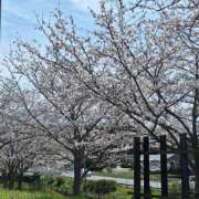 ヒメ日記 2025/03/31 23:01 投稿 あさひ AVANCE福岡