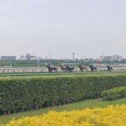 ヒメ日記 2025/06/15 21:31 投稿 あさひ AVANCE福岡