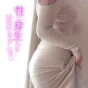 ヒメ日記 2025/04/11 17:30 投稿 空乃　くれは【奥様】 isai～愛妻