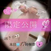 ヒメ日記 2025/09/07 10:09 投稿 空乃　くれは【奥様】 isai～愛妻