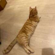 ヒメ日記 2024/12/09 22:05 投稿 まき イエスグループ熊本 TSUBAKI(ツバキ)