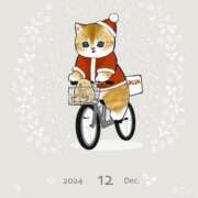 ヒメ日記 2024/12/16 08:34 投稿 まき イエスグループ熊本 TSUBAKI(ツバキ)