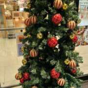 ヒメ日記 2024/12/21 09:52 投稿 まき イエスグループ熊本 TSUBAKI(ツバキ)