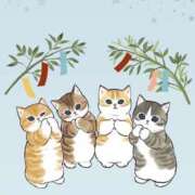 ヒメ日記 2025/07/03 13:03 投稿 まき イエスグループ熊本 TSUBAKI(ツバキ)