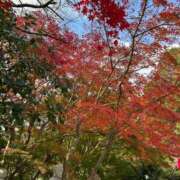 ヒメ日記 2025/11/22 00:00 投稿 まき イエスグループ熊本 TSUBAKI(ツバキ)