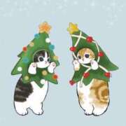 ヒメ日記 2025/12/01 23:33 投稿 まき イエスグループ熊本 TSUBAKI(ツバキ)