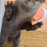 ヒメ日記 2025/12/16 14:16 投稿 まき イエスグループ熊本 TSUBAKI(ツバキ)