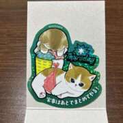 ヒメ日記 2026/02/19 09:45 投稿 まき イエスグループ熊本 TSUBAKI(ツバキ)