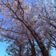 ヒメ日記 2026/04/07 10:03 投稿 まき イエスグループ熊本 TSUBAKI(ツバキ)