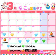 ヒメ日記 2025/02/25 18:00 投稿 なこ ビギナーズ神戸