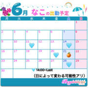 ヒメ日記 2025/06/02 22:45 投稿 なこ ビギナーズ神戸