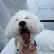 ヒメ日記 2026/03/12 07:57 投稿 なこ ビギナーズ神戸