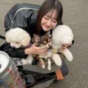 なこ 4月スケジュールとお知らせ- ̗̀📣 ビギナーズ神戸