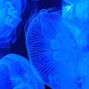 ヒメ日記 2024/12/21 09:31 投稿 めぐみ 春日部人妻花壇