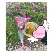 ヒメ日記 2025/04/27 16:11 投稿 めぐみ 春日部人妻花壇