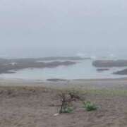 ヒメ日記 2025/07/01 03:21 投稿 めぐみ 春日部人妻花壇