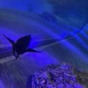 ヒメ日記 2025/08/10 14:02 投稿 めぐみ 春日部人妻花壇