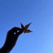 ヒメ日記 2025/11/17 13:51 投稿 めぐみ 春日部人妻花壇