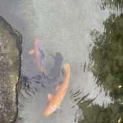 ヒメ日記 2025/11/30 19:41 投稿 めぐみ 春日部人妻花壇