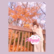 ヒメ日記 2026/03/26 13:31 投稿 めぐみ 春日部人妻花壇