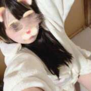 ヒメ日記 2024/12/10 06:28 投稿 ここ 西川口コスプレメイド学園（シンデレラグループ）