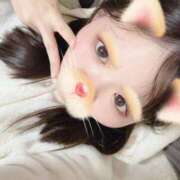 ヒメ日記 2025/03/05 06:22 投稿 ここ 西川口コスプレメイド学園（シンデレラグループ）