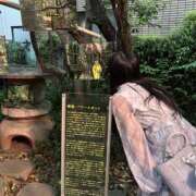 ヒメ日記 2025/04/24 16:56 投稿 つぐみ New Sky