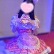 ヒメ日記 2025/07/22 10:30 投稿 つぐみ New Sky